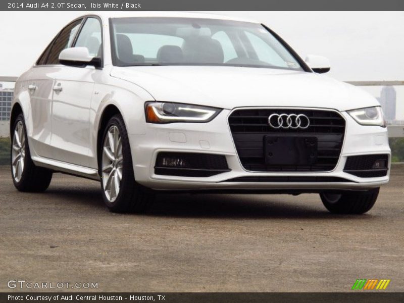 Ibis White / Black 2014 Audi A4 2.0T Sedan