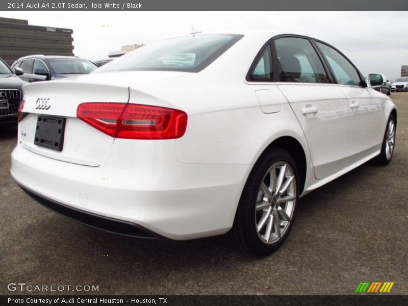 Ibis White / Black 2014 Audi A4 2.0T Sedan