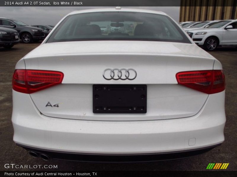 Ibis White / Black 2014 Audi A4 2.0T Sedan