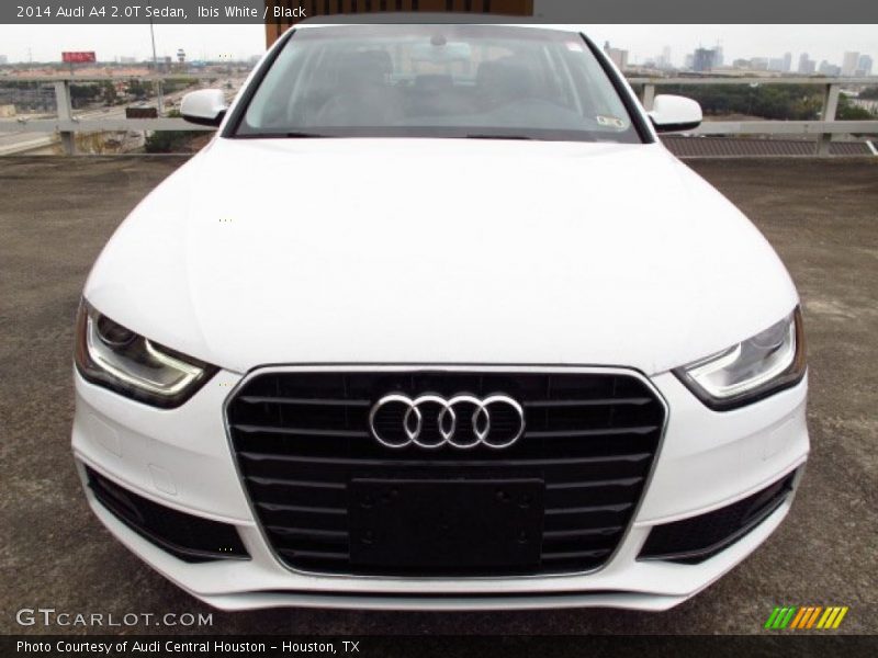 Ibis White / Black 2014 Audi A4 2.0T Sedan