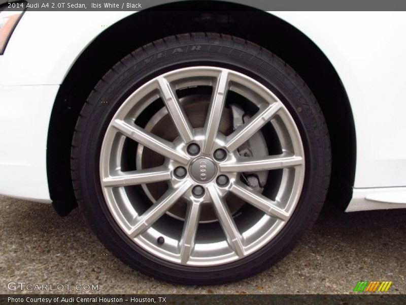 Ibis White / Black 2014 Audi A4 2.0T Sedan