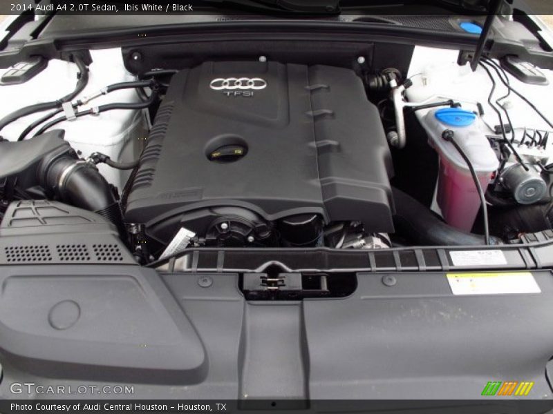 Ibis White / Black 2014 Audi A4 2.0T Sedan