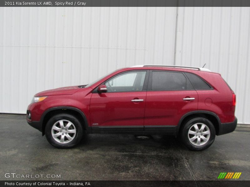 Spicy Red / Gray 2011 Kia Sorento LX AWD