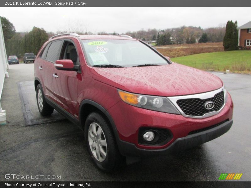 Spicy Red / Gray 2011 Kia Sorento LX AWD