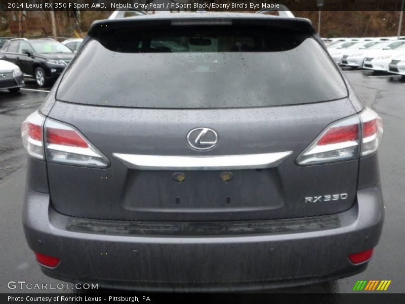 Nebula Gray Pearl / F Sport Black/Ebony Bird's Eye Maple 2014 Lexus RX 350 F Sport AWD