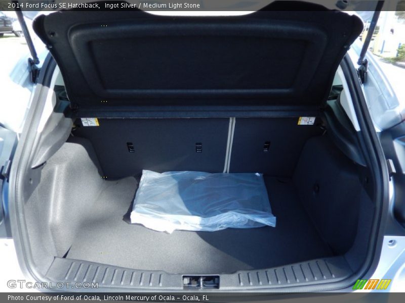 Ingot Silver / Medium Light Stone 2014 Ford Focus SE Hatchback