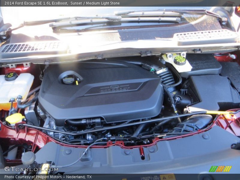 Sunset / Medium Light Stone 2014 Ford Escape SE 1.6L EcoBoost