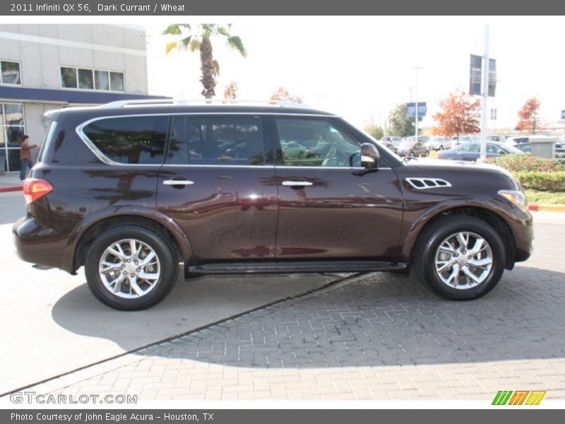 Dark Currant / Wheat 2011 Infiniti QX 56