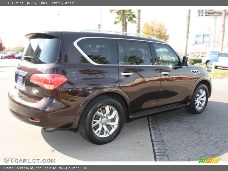Dark Currant / Wheat 2011 Infiniti QX 56