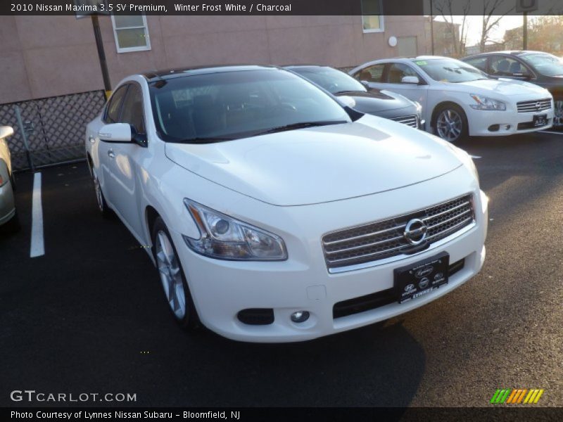 Winter Frost White / Charcoal 2010 Nissan Maxima 3.5 SV Premium