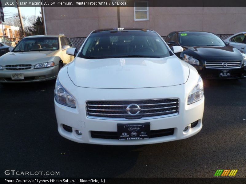 Winter Frost White / Charcoal 2010 Nissan Maxima 3.5 SV Premium