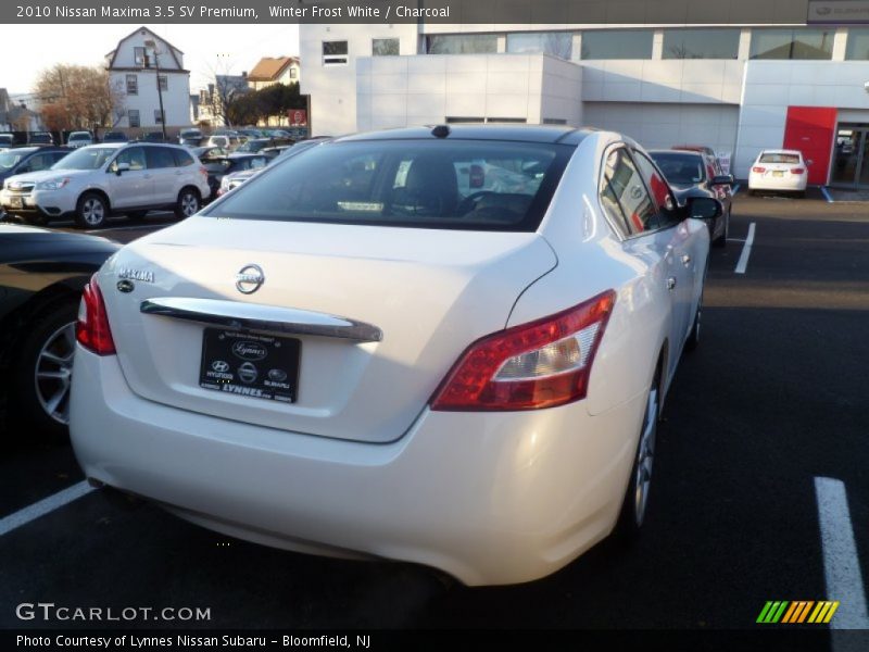 Winter Frost White / Charcoal 2010 Nissan Maxima 3.5 SV Premium