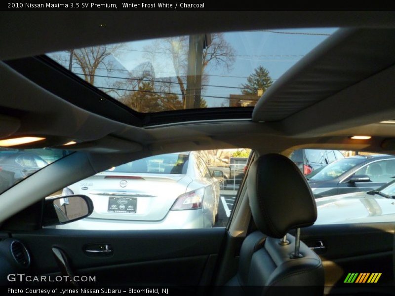 Winter Frost White / Charcoal 2010 Nissan Maxima 3.5 SV Premium