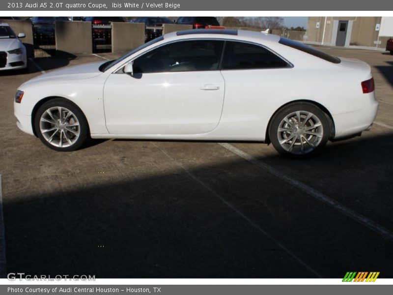 Ibis White / Velvet Beige 2013 Audi A5 2.0T quattro Coupe