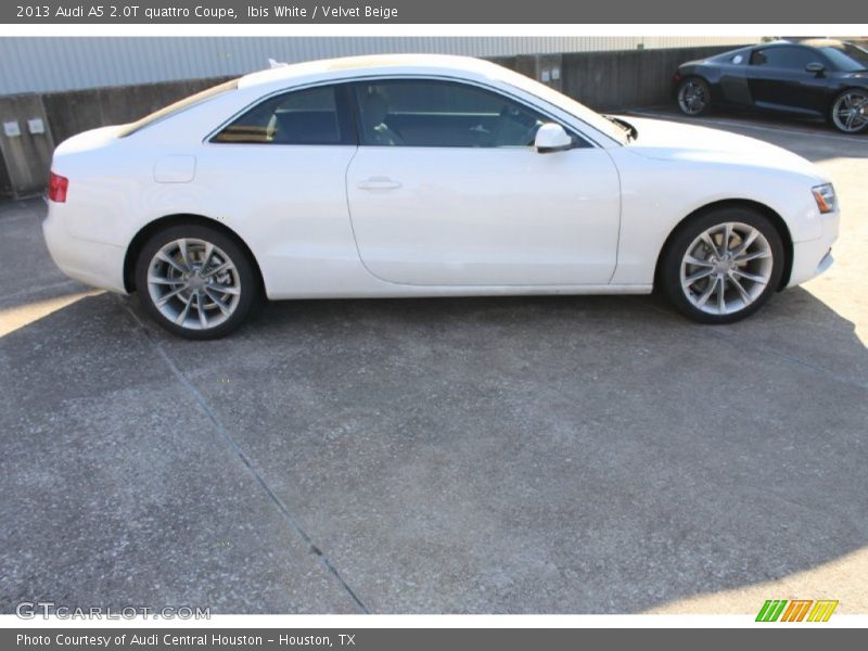 Ibis White / Velvet Beige 2013 Audi A5 2.0T quattro Coupe