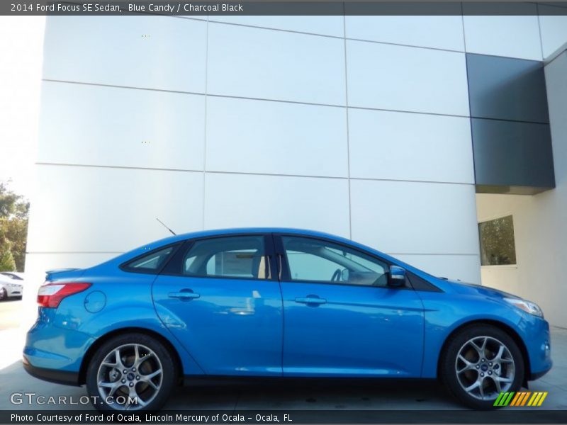 Blue Candy / Charcoal Black 2014 Ford Focus SE Sedan