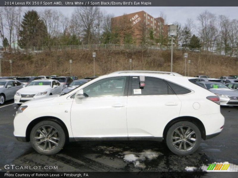 Ultra White / F Sport Black/Ebony Bird's Eye Maple 2014 Lexus RX 350 F Sport AWD