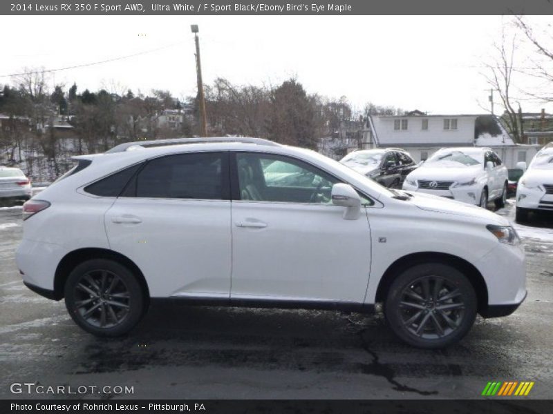 Ultra White / F Sport Black/Ebony Bird's Eye Maple 2014 Lexus RX 350 F Sport AWD