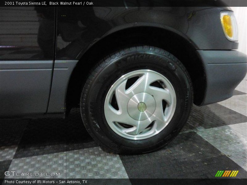 Black Walnut Pearl / Oak 2001 Toyota Sienna LE