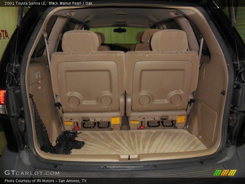 Black Walnut Pearl / Oak 2001 Toyota Sienna LE