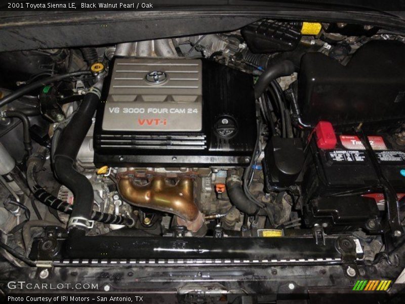 Black Walnut Pearl / Oak 2001 Toyota Sienna LE