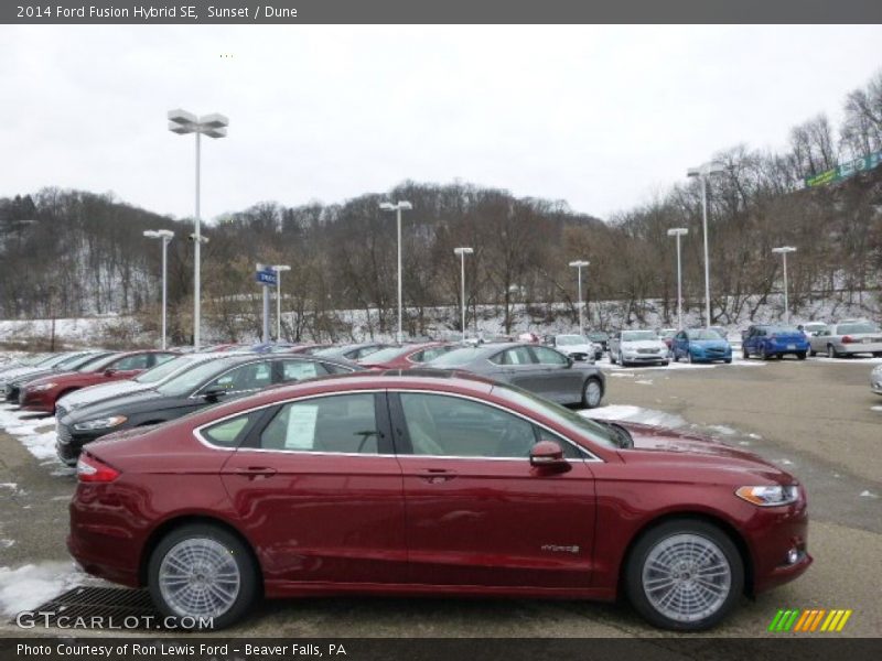 Sunset / Dune 2014 Ford Fusion Hybrid SE