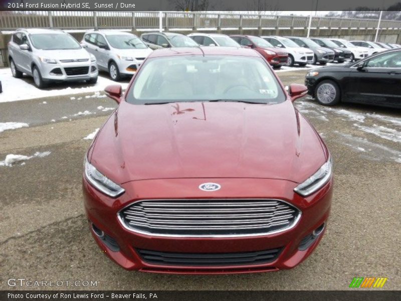 Sunset / Dune 2014 Ford Fusion Hybrid SE