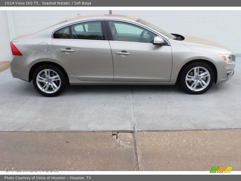  2014 S60 T5 Seashell Metallic