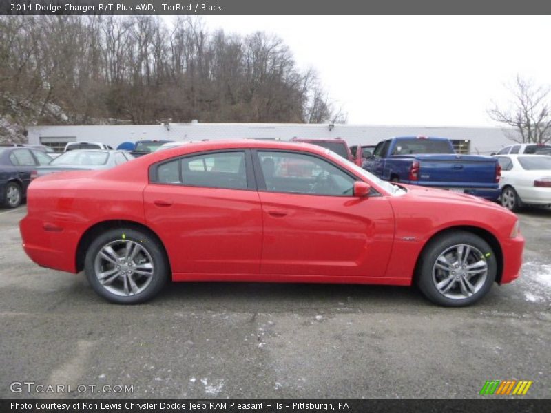 TorRed / Black 2014 Dodge Charger R/T Plus AWD