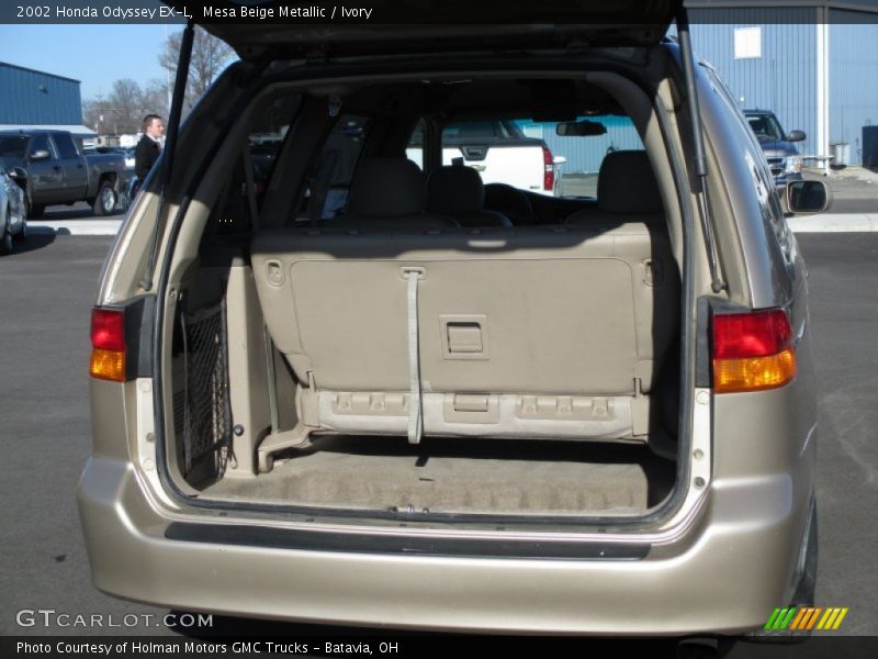 Mesa Beige Metallic / Ivory 2002 Honda Odyssey EX-L