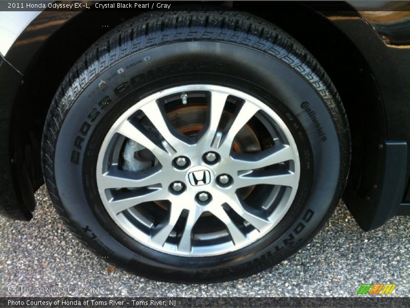 Crystal Black Pearl / Gray 2011 Honda Odyssey EX-L