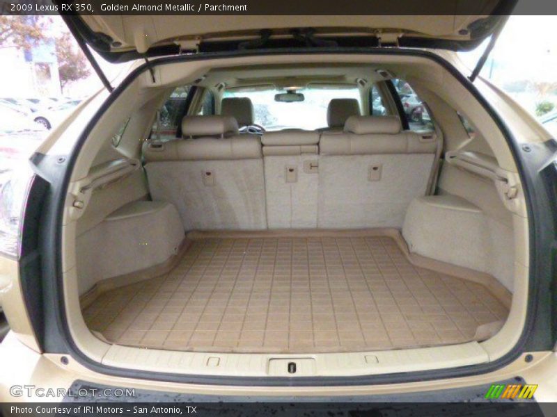 Golden Almond Metallic / Parchment 2009 Lexus RX 350