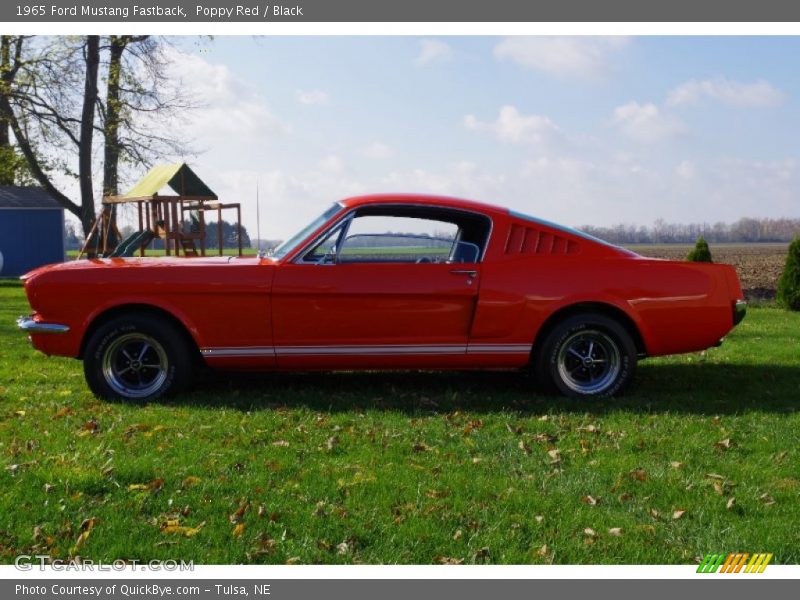 Poppy Red / Black 1965 Ford Mustang Fastback