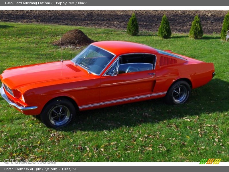 Poppy Red / Black 1965 Ford Mustang Fastback