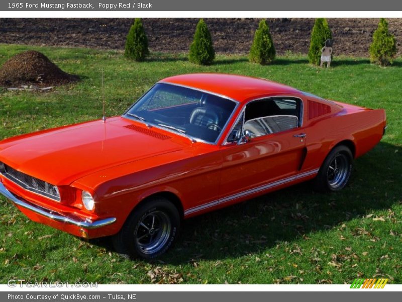Poppy Red / Black 1965 Ford Mustang Fastback