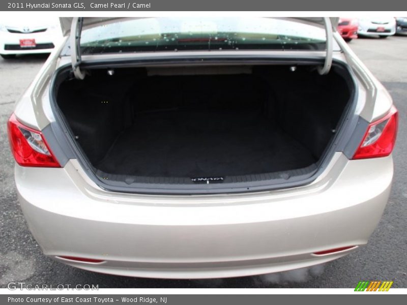 Camel Pearl / Camel 2011 Hyundai Sonata GLS