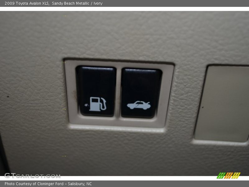 Sandy Beach Metallic / Ivory 2009 Toyota Avalon XLS