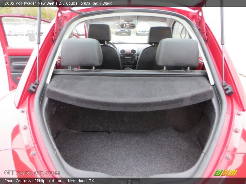 Salsa Red / Black 2009 Volkswagen New Beetle 2.5 Coupe