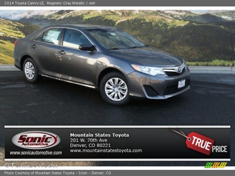 Magnetic Gray Metallic / Ash 2014 Toyota Camry LE