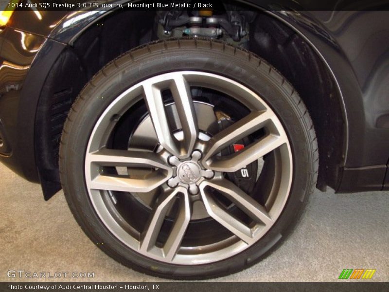 Moonlight Blue Metallic / Black 2014 Audi SQ5 Prestige 3.0 TFSI quattro