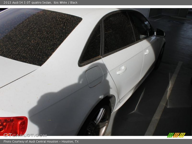 Ibis White / Black 2013 Audi S4 3.0T quattro Sedan