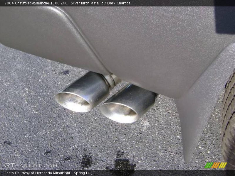 Silver Birch Metallic / Dark Charcoal 2004 Chevrolet Avalanche 1500 Z66