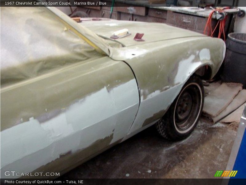 Marina Blue / Blue 1967 Chevrolet Camaro Sport Coupe
