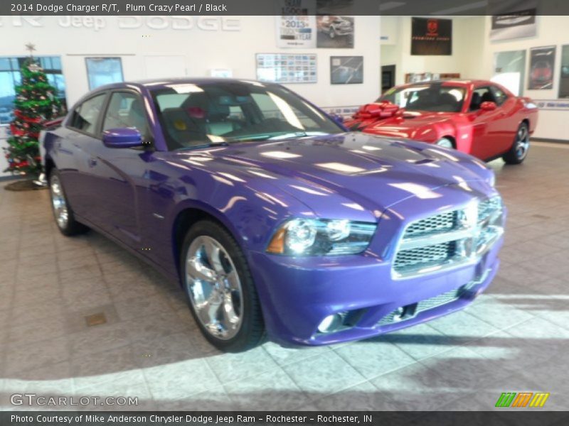 Plum Crazy Pearl / Black 2014 Dodge Charger R/T