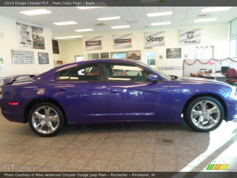 Plum Crazy Pearl / Black 2014 Dodge Charger R/T