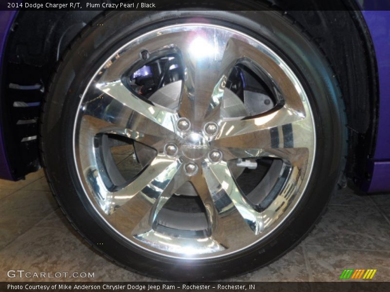 Plum Crazy Pearl / Black 2014 Dodge Charger R/T