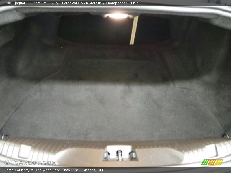 Botanical Green Metallic / Champagne/Truffle 2009 Jaguar XF Premium Luxury