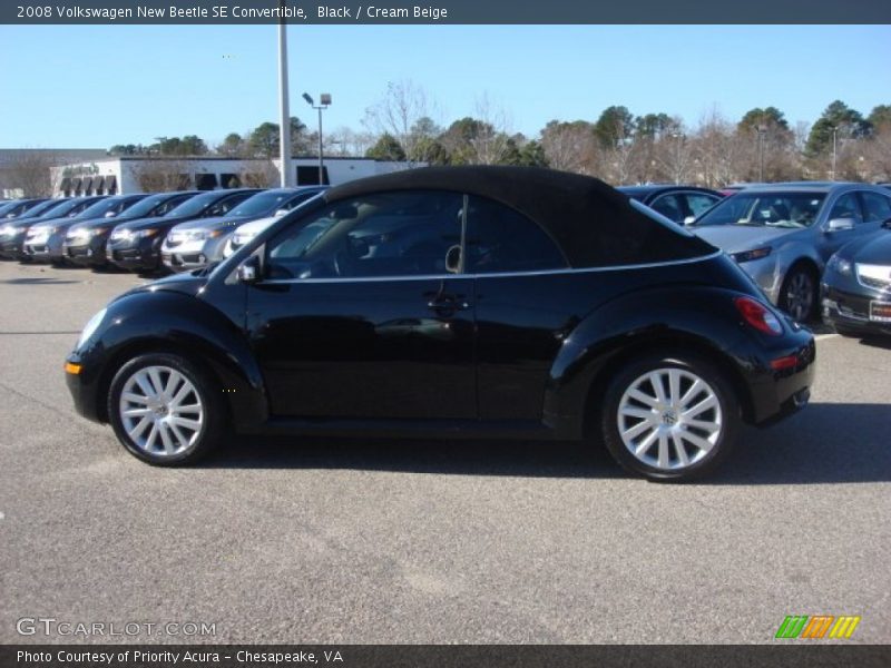Black / Cream Beige 2008 Volkswagen New Beetle SE Convertible