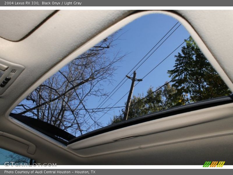 Black Onyx / Light Gray 2004 Lexus RX 330