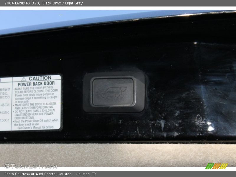 Black Onyx / Light Gray 2004 Lexus RX 330